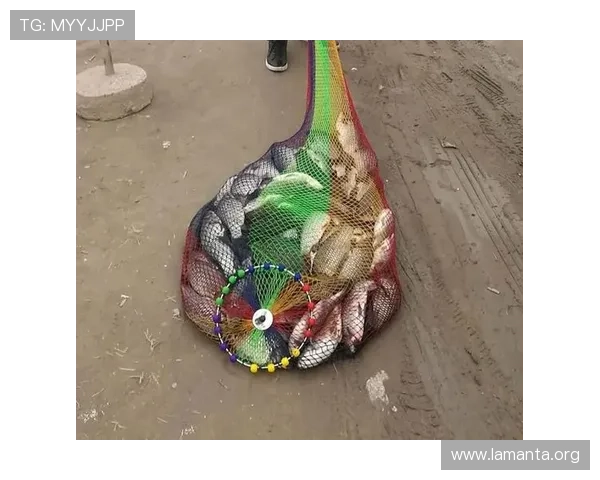 K8捕鱼网投用户评价与口碑分析，选择优质平台的实用建议