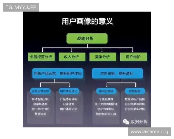 凯发数字站如何打造专业的游戏数据分析平台实现精准用户画像